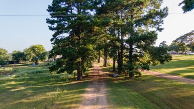 19499 E Whippoorwill Ln, Atoka, OK 74525 - photo 7