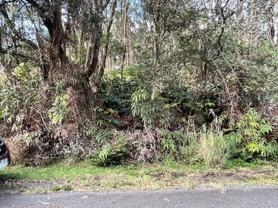 0 3rd St unit 725812, Volcano, HI 96785 - photo 5