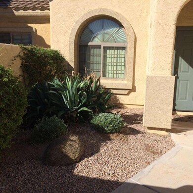 Mesa Courtyard