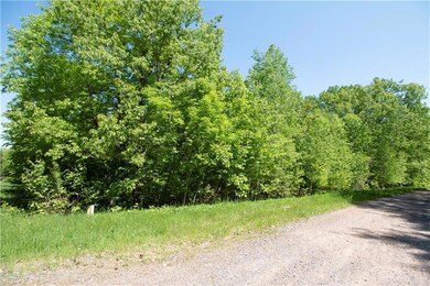 N2202 Two Bear Rd, Rusk Township, WI 54895 - photo 3