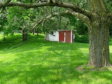 Exterior Back Shed