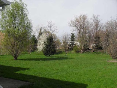 Yard/Garden