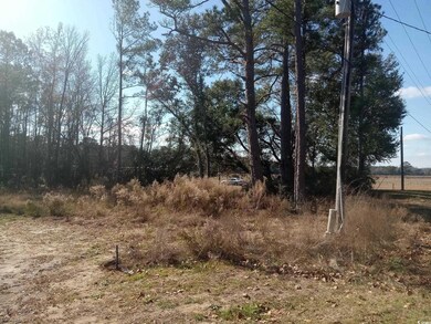 3800 Kickapoo Dr unit LOT 4, Green Sea, SC 29545 - photo 2