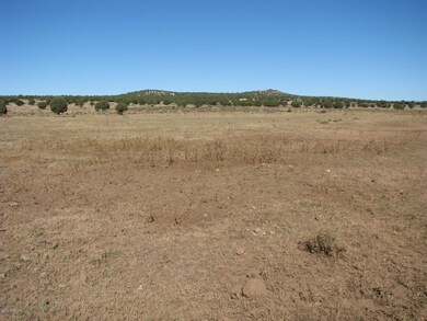 80 Cattle Dr, Ash Fork, AZ 86320 - photo 2