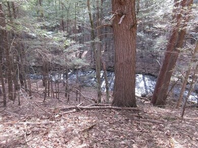 0 Moss Brook Rd, Orange, MA 01364 - photo 6