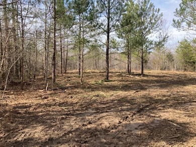 0000 Riddle Mill Rd, Clover, SC 29710 - photo 4