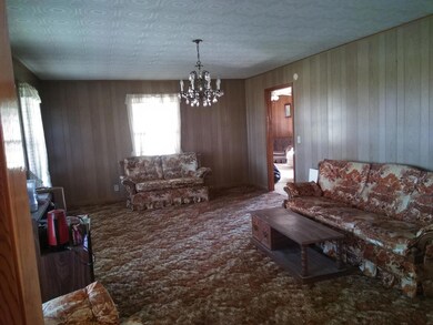 4835 Tennessee 107 Cutoff, Greeneville, TN 37743 - photo 4