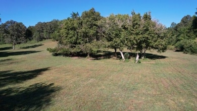 446 Grinders Creek Rd, Hohenwald, TN 38462 - photo 7