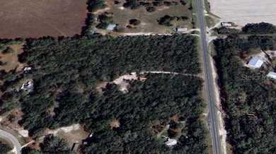TBD NE 349 Hwy, Old Town, FL 32680 - photo 2
