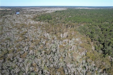 0 Ferry Rd unit SWL24006842, Other City, LA 70531 - photo 4