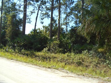 0 Palm Ave, Cocoa, FL 32922 - photo 4