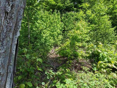 lot 10 Chaddarin Ln unit 10, Plymouth, NH 03264 - photo 5