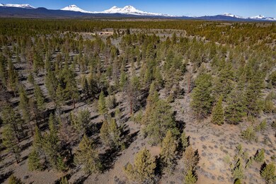 Timber Land