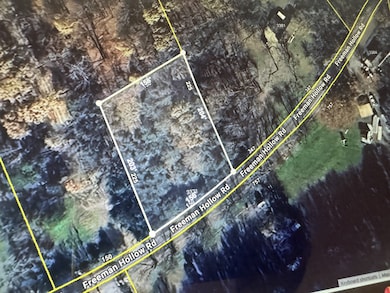 3371 Freeman Hollow Rd, Nashville, TN 37072 - photo 3