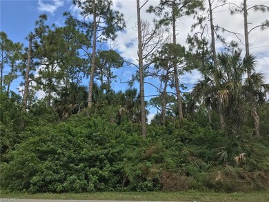 1090 21st St SW, Naples, FL 34117 - photo 3