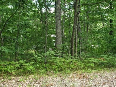 0 7th Ave, Merrill Township, MI 49309 - photo 7