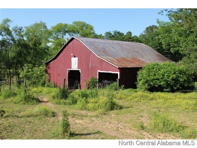 260 County Road 463, Cullman, AL 35057 - photo 3