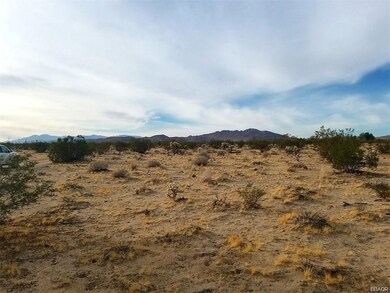 0 White Feather Rd unit 32101514, Joshua Tree, CA 92252 - photo 2