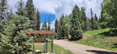 454 Mccoy Creek Dr, Durango, CO 81301 - photo 2