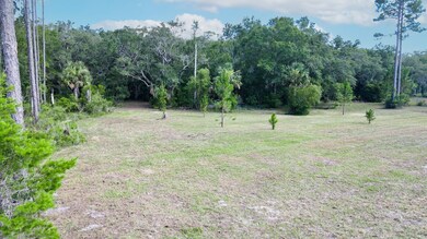 1351 Oak Pond Cir, Steinhatchee, FL 32359 - photo 6