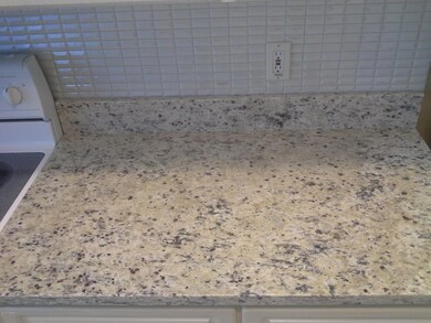 Granite Counter2