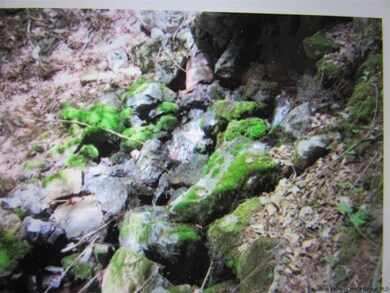 178 Overlook Dr, Hunter, NY 12442 - photo 4