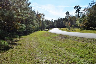 0 Sky Forest Cir unit 81862688, Magnolia, TX 77355 - photo 4