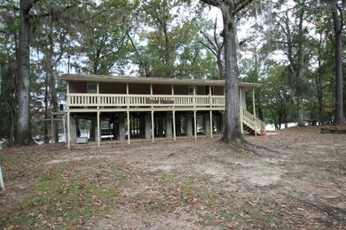 1125 McNatt Falls Rd, Uvalda, GA 30473 - photo 2