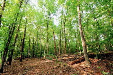 0 Stubbs Bridge Rd unit 2125675, Mineral, VA 23117 - photo 4