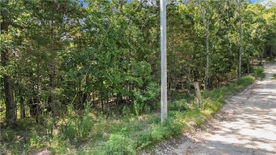 0 Cr-229 unit 1317518, Eureka Springs, AR 72631 - photo 3