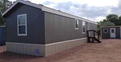 back of house and shed