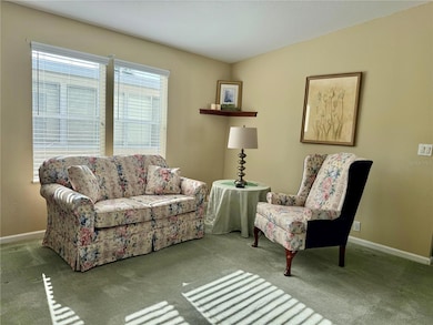 250 S Port Royal Ln, Apollo Beach, FL 33572 - photo 3