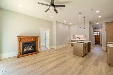 1036 Cummings St unit 1, Abingdon, VA 24211 - photo 7