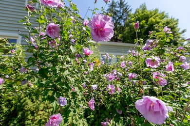 495 Saint John St, Portland, ME 04102 - photo 4