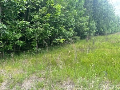 TBD Elder Rd, Carp Lake, MI 49718 - photo 6