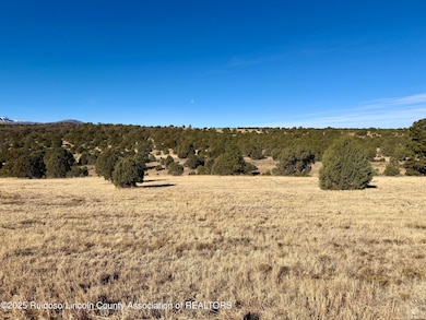 118 Rainmaker Dr, Alto, NM 88312 - photo 4