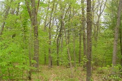 0 N Felch Ave unit 12029441, Sherman Township - Newaygo, MI 49349 - photo 6