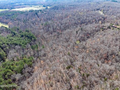 0 Chester Quinn Ln, Parsons, TN 38363 - photo 5