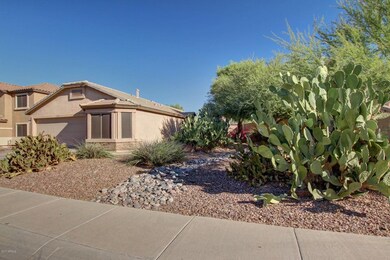 0004-Sunland - 41580 (4)