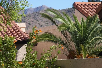 patioview