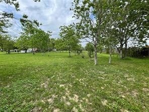 TBD Burton Cemetery Rd, Waller, TX 77484 - photo 2