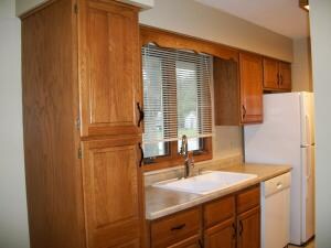 Kitchen #1
