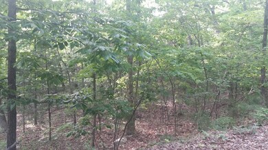 Lot 4 Hunters Glenn Ln, Ruth B Rural Township, MO 65686 - photo 3
