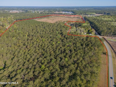 624 Blackwater Dr SW, Calabash, NC 28467 - photo 3