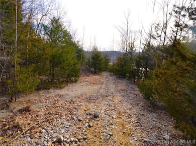 Lower Road paralleling the Lake
