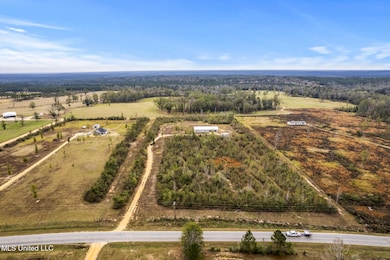 0 W Wire Rd unit 4133120, Perkinston, MS 39573 - photo 3