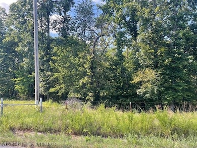 466305 E 931 Rd, Bunch, OK 74955 - photo 5