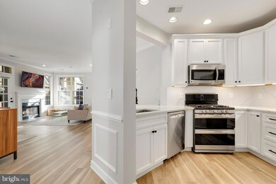 1321 N Adams Ct unit 306, Arlington, VA 22201 - photo 3