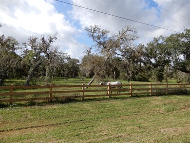 808 County Road 388c, Brazoria, TX 77422 - photo 7