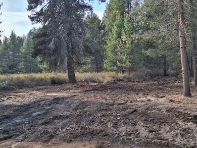 0 Brook Trout Ln unit Block 6 Lot 3, Chiloquin, OR 97624 - photo 2